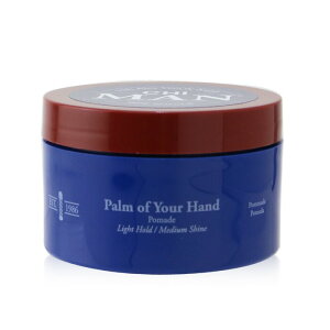 チィー Man Palm of Your Hand Pomade (Light Hold/ Medium Shine) 85g 送料無料 【楽天海外通販】 CHI Man Palm of Your Hand Pomade (Light Hold/ Medium Shine) 85g 送料無料 【楽天海外通販】