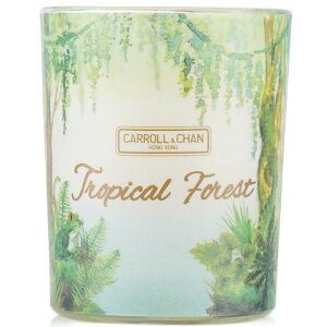 キャンドル・キャロル&チャン 100% Beeswax Votive Candle - Tropical Forest 65gCarroll &Chan 100% Beeswax Votive Candle - Tropical Forest 65g 送料無料 【楽天海外通販】