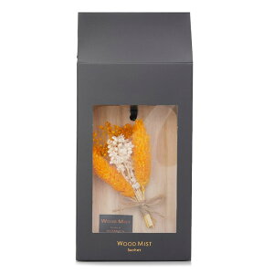 Botanica Wood Mist Sachet - Orange Cinnamon 1pcsBotanica Wood Mist Sachet - Orange Cinnamon 1pcs  yyVCOʔ́z