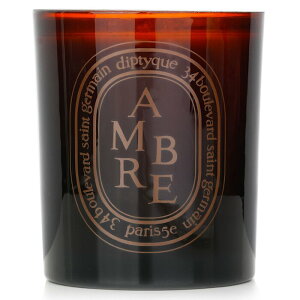 fBveBbN Lh - Au 300g Diptyque Scented Candle - Ambre (Amber) 300g  yyVCOʔ́z