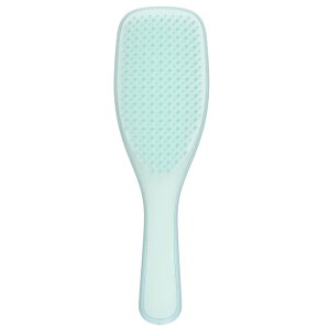 ^OeB[U[ The Wet Detangling Fine  Fragile Hair Brush - # Mint 1pc Tangle Teezer The Wet Detangling Fine  Fragile Hair Brush - # Mint 1pc  yyVCOʔ́z