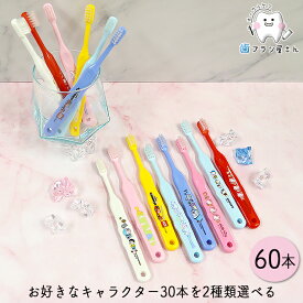 Ci キャラクター500 シリーズ 30本ずつ2種類選べる 60本 | トミカ ハローキティ ドラえもん シナモロール スヌーピー なまえ 歯ブラシ ふつう やわらかめ 子供 子供用歯ブラシ 乳幼児 小学校低学年 使いやすい まとめ買い 歯科専売品