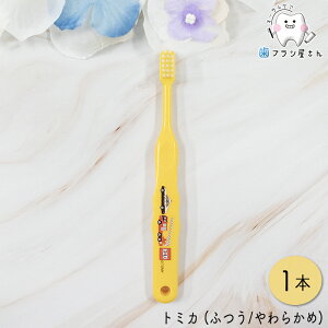 Ci LN^[ q uV g~J 502(M ӂ) /503(S 炩) 1{