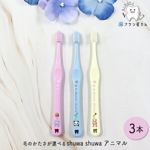 Ci uV shuwa shuwa т̂Iׂ Aj} M ӂ/S 炩 3{