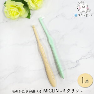 Ci т̂Iׂ ^tg MICLIN ~N M ӂ/S 炩 1{