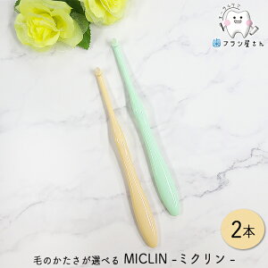 Ci т̂Iׂ ^tg MICLIN ~N M ӂ/S 炩 2{