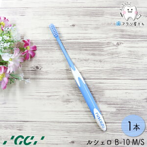 GC VF B-10 M ӂ/S 炩 1{