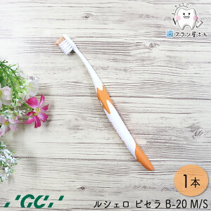 GC VF sZ B-20 M ӂ/S 炩 1{