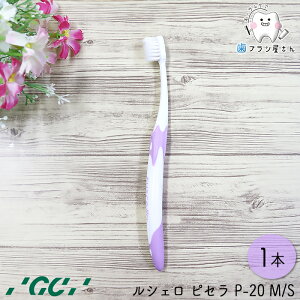 GC VF sZ P-20 M ӂ/S 炩 1{