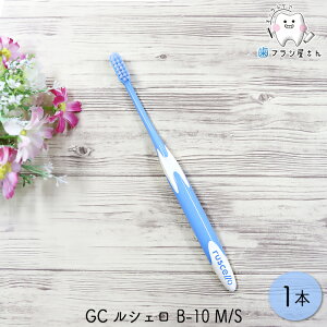 GC VF B-10 M ӂ/S 炩 1{