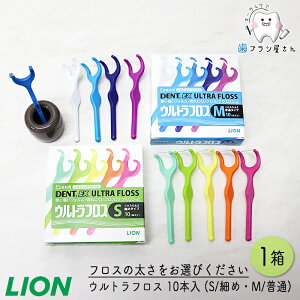 LION DENT. Ex. EgtX M ӂ/S ׂ 10{ 1 | f^tX z_[t Yz_[ Ȑꔄi I[PA