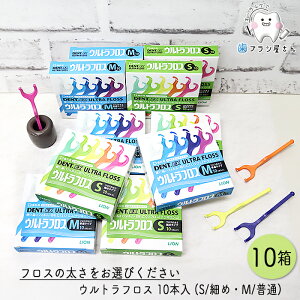 LION DENT. Ex. EgtX M ӂ/S ׂ 10{ 10 | f^tX z_[t Yz_[ Ȑꔄi I[PA