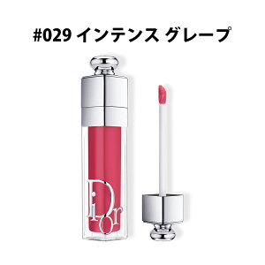 クリスチャンディオール ディオール アディクト リップ マキシマイザー 【#029 インテンス グレープ】 【店内全品ポイント2倍 10/24 20:00 〜 10/27 09:59】 【お買い物マラソン】