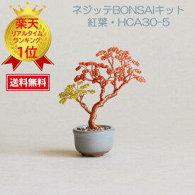 めざましテレビ めざましTV まいにちランキング ビーズ盆栽 ミユキビーズ ネジッテBONSAI 盆栽 盆栽女子 盆栽キット ビーズ MIYUKI ミユキ(Miyuki) ミニ盆栽ハンドメイドキットネジッテBONSAIキット『紅葉・HCA30-5』