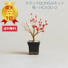 めざましテレビ めざましTV まいにちランキング ビーズ盆栽 ミユキビーズ ネジッテBONSAI 盆栽 盆栽女子 盆栽キット ビーズ MIYUKI ミユキ ミユキ(Miyuki) ミニ盆栽ハンドメイドキットネジッテBONSAIキット『梅・HCA30-2』
