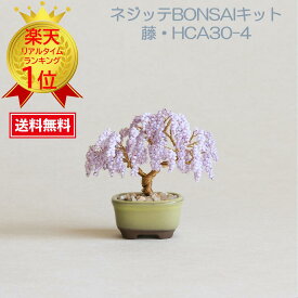 めざましテレビ めざましTV ランキング ビーズ盆栽 ミユキビーズ ネジッテBONSAI 盆栽 盆栽女子 盆栽キット ビーズ MIYUKI ミユキ ミユキ(Miyuki) ミニ盆栽ハンドメイドキットネジッテBONSAIキット『藤・HCA30-4』