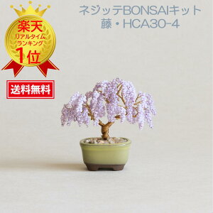 ߂܂er ߂܂TV ܂ɂLO r[Y~ ~Lr[Y lWbeBONSAI ~ ~͏q ~̓Lbg r[Y MIYUKI ~L ~L(Miyuki) ~j~̓nhChLbglWbeBONSA