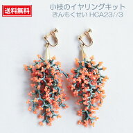 ビーズのイヤリング 竹ビーズ 小枝のイヤリングキット イヤリングキット イヤリング シード ハンドメイド…