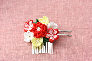 ܂ݍ׍H 񂴂 pi~| | yh}Œڂ̘azpi~|񂴂nhChLbg w߂܂ݍ׍H񂴂 x iԁj LH-456yX^[^[Z