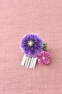 ܂ݍ׍H ܎O  񂴂 pi~ |yh}Œڂ̘az pi~|u[`nhChLbg w ߂܂ݍ׍Hu[` x ij LH-459yX^[^