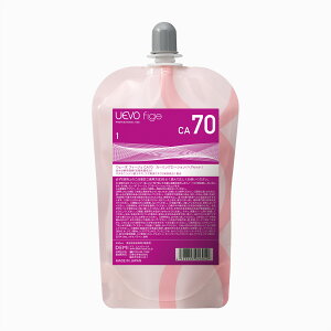 f~ EF[{ tB[WF CA70 1 400g DEMI uevo fige p[} Ɩp