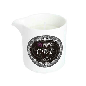 �G�t�F�N�e�B�u �I�[�K�j�b�N SPA�g���[�g�����g�I�C���@P�����[�X�iCBD�j