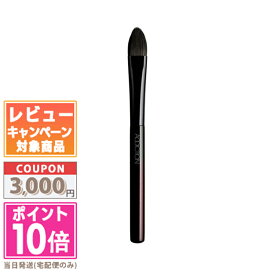 ★ポイント10倍＆割引クーポン★ADDICTION アディクション アイシャドウブラシ P【送料無料】ギフト 誕生日 プレゼント 15時までの決済確認で即日発送！