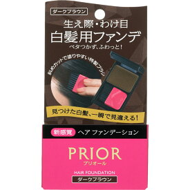 楽天市場 資生堂プリオール ヘアファンデーションの通販