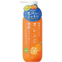 石澤研究所 植物生まれのオレンジ地肌シャンプーN 400ml
