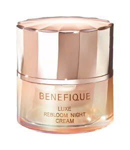  xltB[N NX u[iCgN[ 40gy򕔊OizyzAz