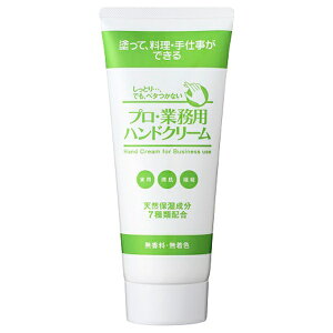 vEƖpnhN[ije 120gyzBz