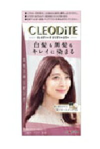 _A NIfB[e NA[J[ip) X[L[sNyzAz