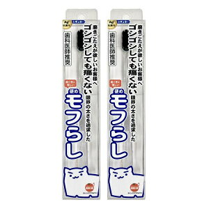 IWPA d߃t炵 M[ 2{Zbg