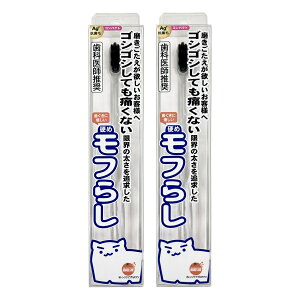 IWPA d߃t炵 RpNg 2{Zbg