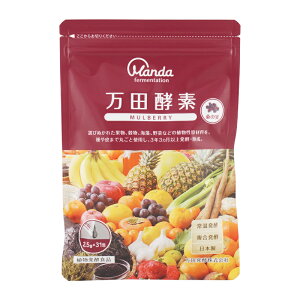 cyf MULBERRY }x[ y[Xg  ^Cv NK R e K̎ 53̉ʍ[MtgbsOΉ]