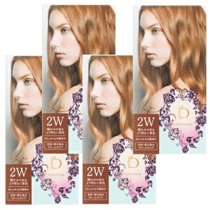 y4Zbgz  xltB[N wAJ[ 2W ĝ݂薾邢IF ..