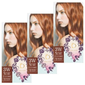 y3Zbgz  xltB[N wAJ[ 3W ĝ݂閾邢IF ..