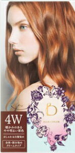 y12,800~ȏwő(l)z xltB[N wAJ[ 4W ĝ݂▾邢IF