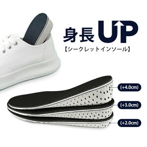 V[NbgC\[ ڗȂ oȂ 2cm 3cm 4cm C\[ ~ gAbv y EVAf ᔽL\[ Ռz r r C Ȃ Y fB[X Xj[J[