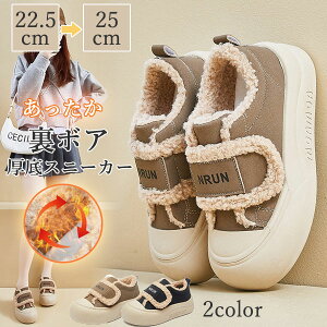 Xj[J[  {A fB[X V[Y H~ ӂӂ h y ~  JWAV[Y 22.5cm`25cm