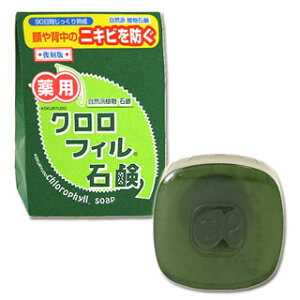 y݌Ɍz p NtBΌ gΌ kokuryudo