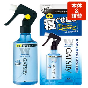 Mcr[(GATSBY) QEH[^[ {285mll֗p250ml wAX^CO {́߂Zbg }_(mandom)y(kC)z