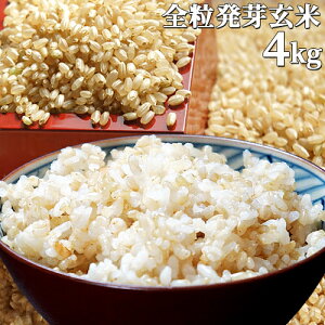 啪Y  蔭茺 4kg(1kg^pbN×4)_(_) X^Icyz