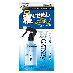 Mcr[(GATSBY) QEH[^[ l֗p 250ml wAX^CO }_(mandom)