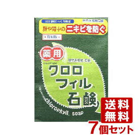 黒龍堂 薬用 クロロフィル石鹸 枠練石鹸 85g×7個セット kokuryudo 【送料無料】