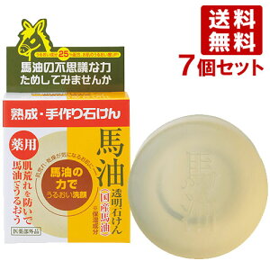 [ pn΂ 100g×7Zbg ΂  ێ YUZEy(kC)z