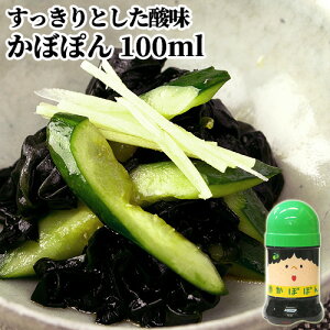 啪Yڂʏ`gp ڂۂ 100ml  || ۂ| ܂͂ݖ