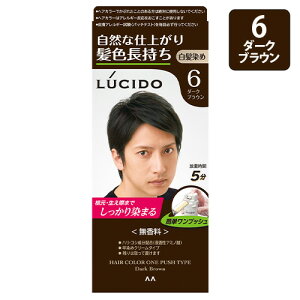 ���V�[�h(LUCIDO) �����v�b�V���P�A�J���[ 6 �_�[�N�u���E�� �����p���߃w�A�J���[ �}���_��(mandom)