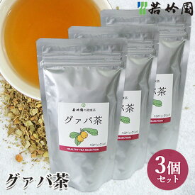 若竹園 グアバ茶 65g(5g×13包)×3個セット グァバ ティーバック 健康茶 美容【送料無料】