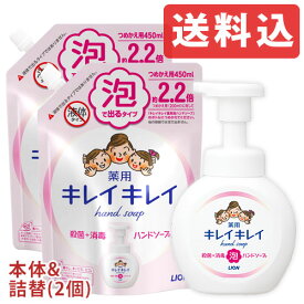 【送料込】キレイキレイ 薬用泡ハンドソープ シトラスフルーティの香り 本体250ml(1個)＆つめかえ用450ml(2個) セット販売 殺菌成分配合 ライオン LION【送料無料】